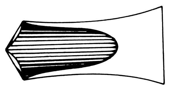 J&J Extracting Forceps #22 English Ea