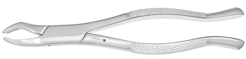 J&J Extracting Forceps #53R Ea