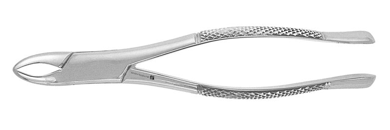 J&J Extracting Forceps #62 Ea