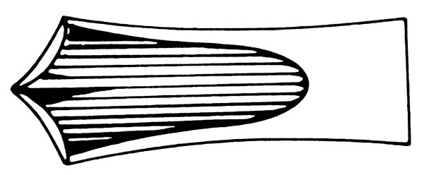 J&J Extracting Forceps #73 English Ea