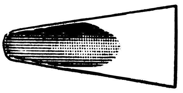 J&J Extracting Forceps #99A Ea