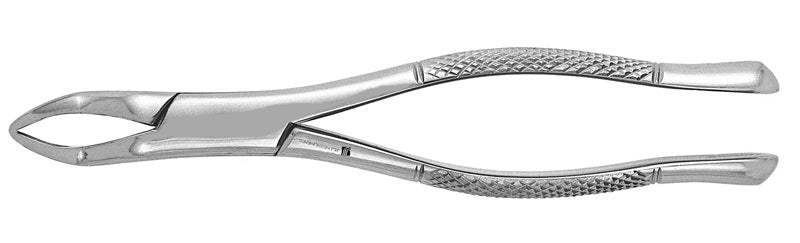 US Elite Extracting Forceps #286 Ea