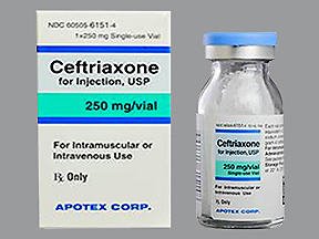 Apotex  60505615104 Ceftriaxone Sodium 250 mg Injection Single-Use Vial 10 mL