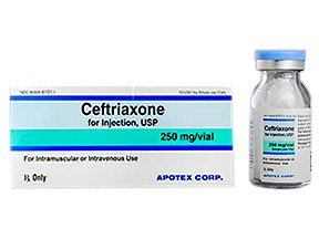 Apotex  60505615101 Ceftriaxone Sodium 250 mg Injection Single-Dose Vial 10 mL