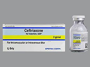 Apotex  60505614904 Ceftriaxone Sodium 2 Gram Injection Single-Use Vial 20 mL