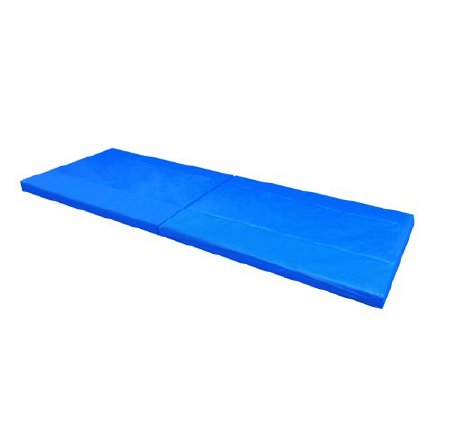 Proactive Medical Products LLC  51003 Protekt Fall Mat Foam / Vinyl 24 x 66 x 2 Inch