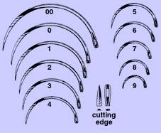 Anchor Products  1832-5DC Reverse Cutting Suture Needle Anchor Fistula Type Size 5 Needle Single Use