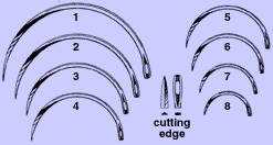 Anchor Products  1860-6DC Reverse Cutting Suture Needle Anchor Martin UterineType Size 6 Needle Single Use