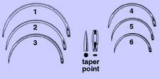 Anchor Products  1824-4DC Taper Point Suture Needle Anchor Mayo Catgut Type Size 4 Needle Single Use