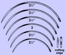 Anchor Products  1842-10DC Taper Point Suture Needle Anchor Ferguson Type Size 10 Needle Single Use