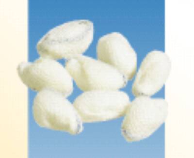 Dukal  10667 Surgical Peanut Sponge American White Cross X-Ray Detectable Gauze 3/8 Inch Diameter 500 Count Pack NonSterile