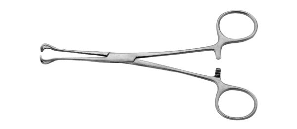 J&J Babcock Tissue Forceps 6.25" Ea