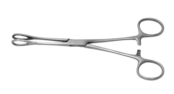 J&J Foerster Sponge Forceps Straight 7" Ea