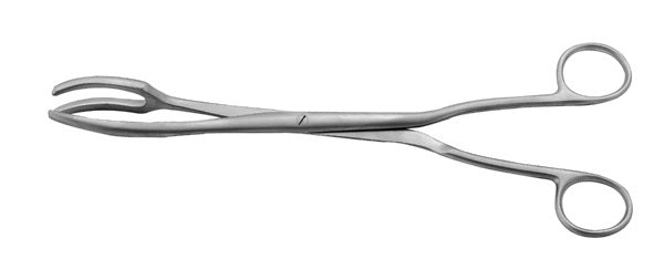 J&J Davis Sterilizing Forceps 10" Ea