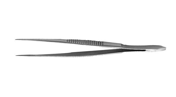 J&J Splinter Forceps 3.5" Ea