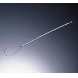 J & J Healthcare Systems  EZ10G Absorbable Ligating Loop with Suture ENDOLOOP with PDS II Polydioxanone Monofilament Size 0