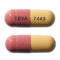 Teva  00093744301 Fluvastatin Sodium 40 mg Capsule 100 Capsules