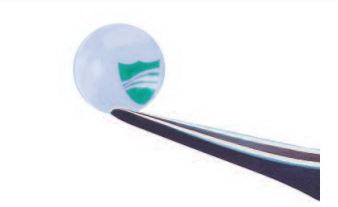 Oasis  7012 Corneal Shield Soft Shield 14.5 mm Diameter Shield