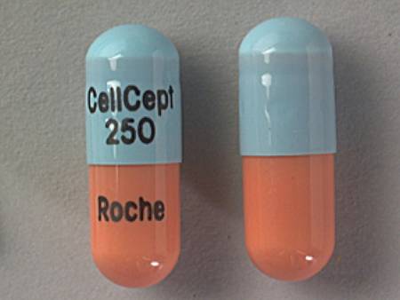 Roche  00004025901 Cellcept Mycophenolate Mofetil 250 mg Capsule Bottle 100 Capsules