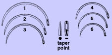 Anchor Products  1823-2DC Taper Point Suture Needle Anchor Mayo Intestinal Type Size 2 Needle Single Use