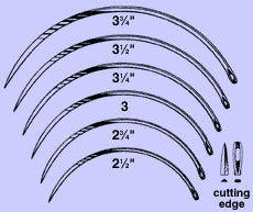 Anchor Products  1841-3DC Reverse Cutting Suture Needle Anchor 3 Inch Length King Type Size 3 Needle Single Use