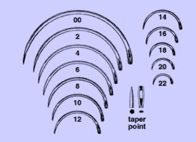 Anchor Products  1842-2DC Taper Point Suture Needle Anchor Ferguson Type Size 2 Needle Single Use