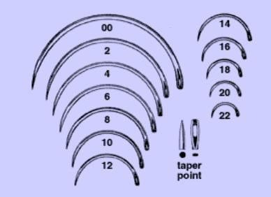 Anchor Products  1842-6DC Taper Point Suture Needle Anchor Ferguson Type Size 6 Needle Single Use