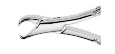 US Elite Cowhorn Extracting Forceps #16 Universal Ea