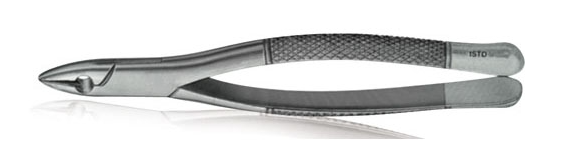 US Elite Extracting Forceps #1 Standard Ea