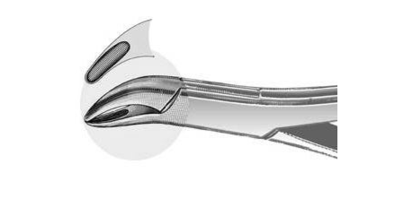 US Elite Extracting Forceps #62 Universal Ea