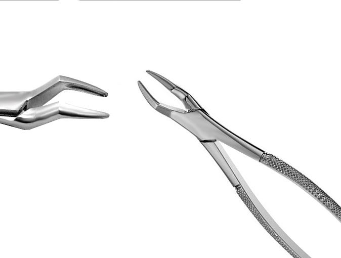 US Elite Extracting Forceps #65 Ea