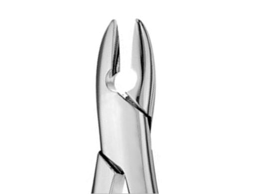 US Elite Extracting Forceps #85A Ea