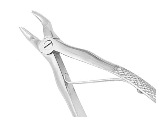 US Elite Extracting Forceps #H Pedo Mini Ea